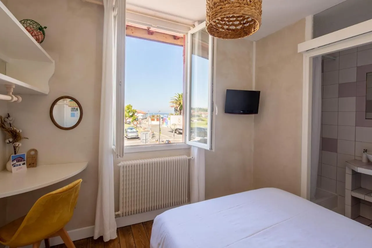 Capybara Hotel Bidart France