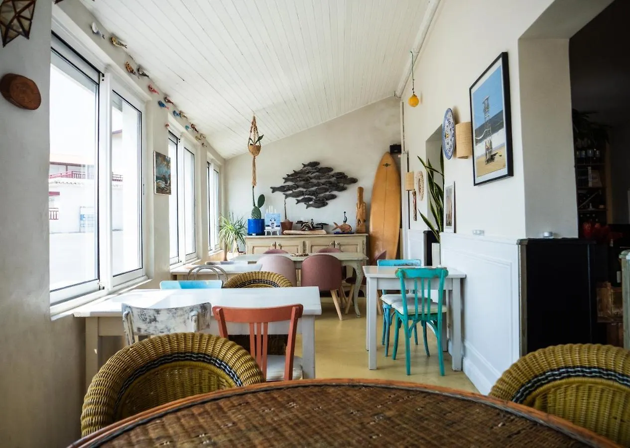 Capybara Hotel Bidart